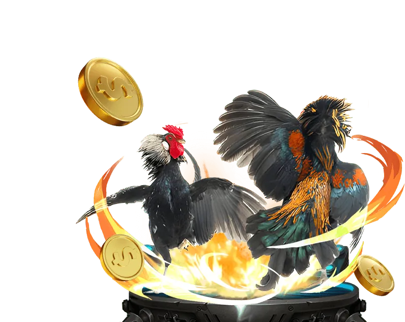 Đá Gà Thomo Trực Tuyến